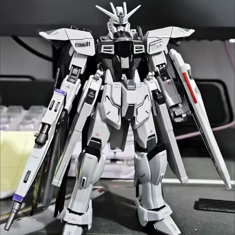 Newdom Unactivated Color Zgmf- - Gundam Model Mg avis et prix