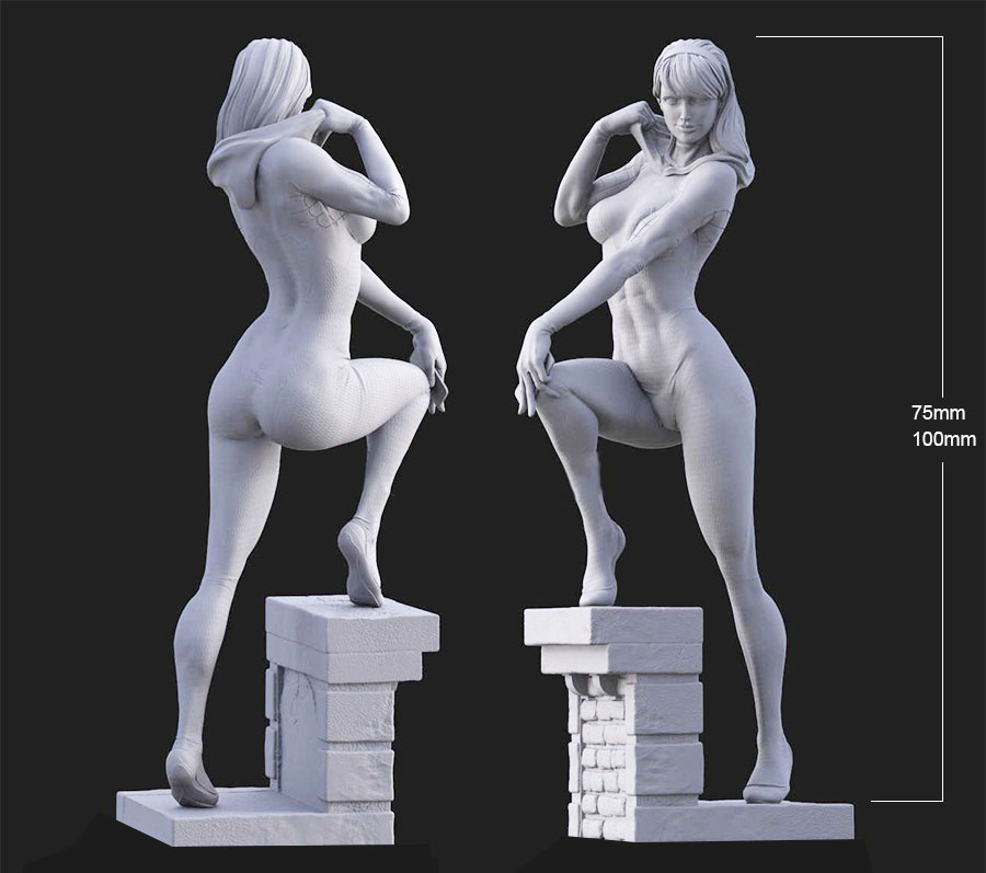 1/24 75mm 1/18 100mm Resin Mod - Model Kit Reshiram avis et prix