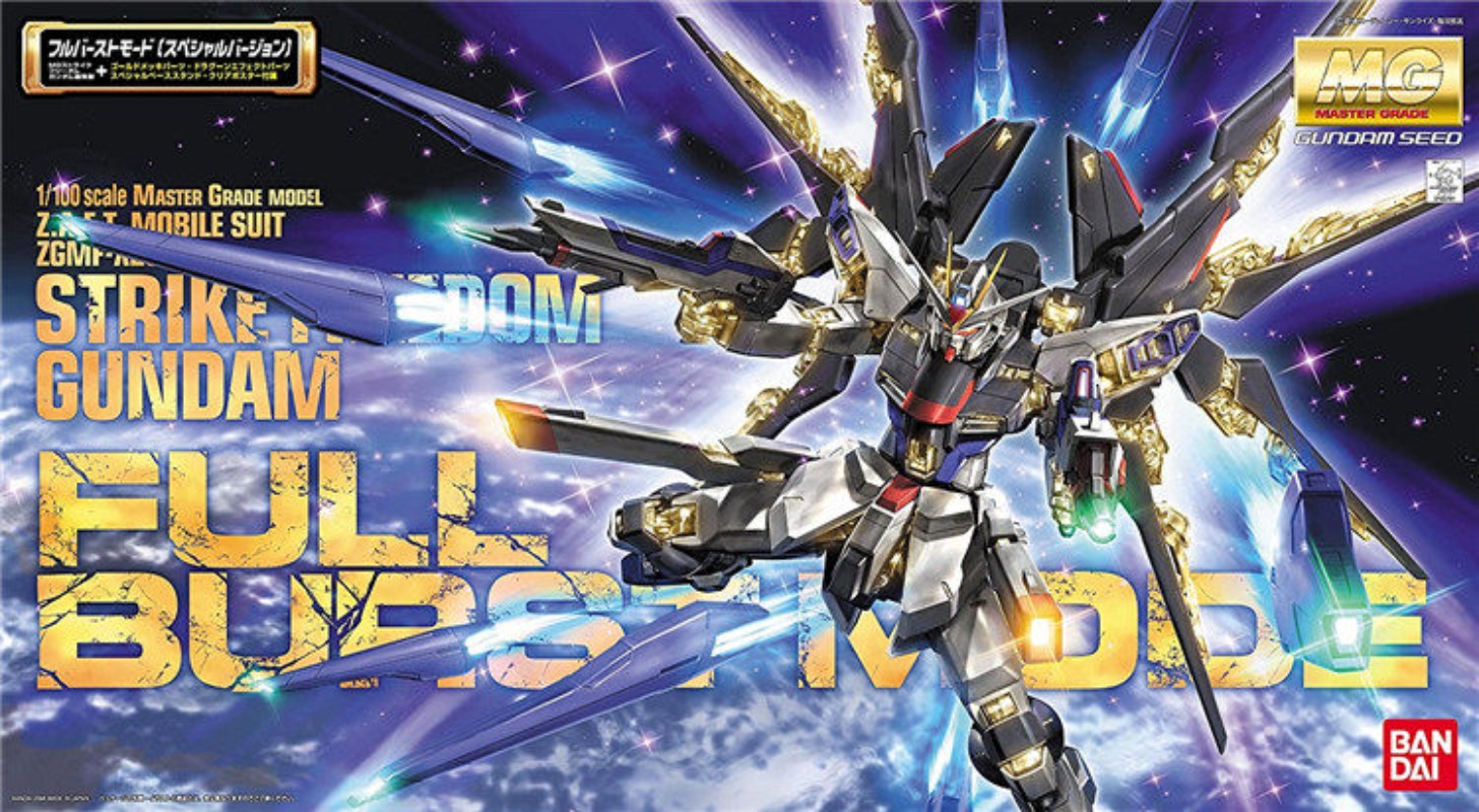 BANDAI MG 1/100 ZGMF-X20A Stri - Gundam Model Mg avis et prix