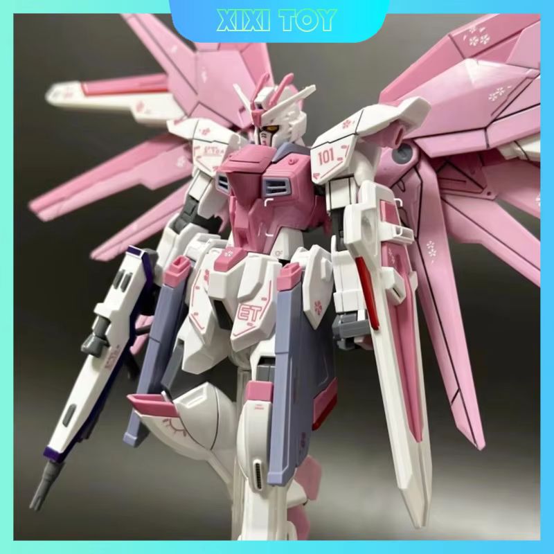 JMS HG 1/144 ZY-06 Freedom Ass - Gundam Model Mg avis et prix
